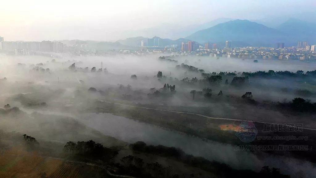 小猫钓鱼开船版最新版下载