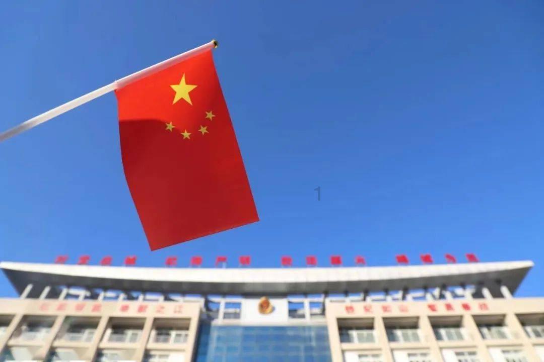 见缝插刀2无敌版