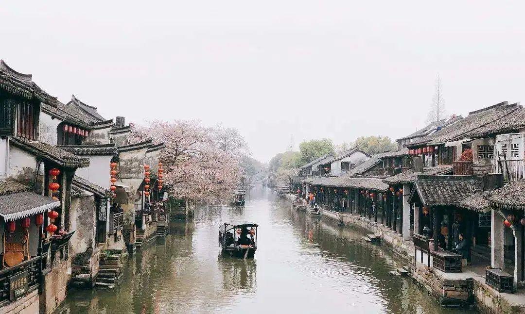 滚动的奶酪选关版